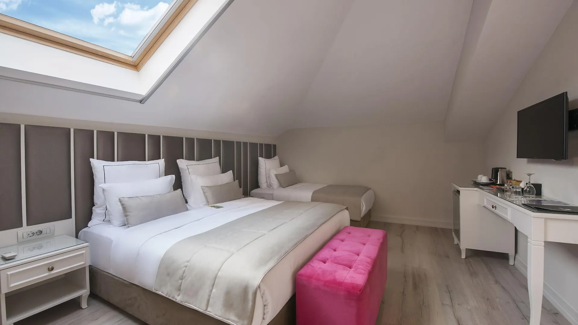 Le Petit Palace Hotel - Special Category Provincia di Provincia di Istanbul